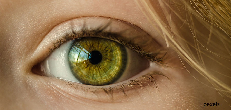 Οπτική νευροπάθεια Λέμπερ: Γονιδιακή θεραπεία στο ένα μάτι βελτιώνει την όραση και στα δύο μάτια σε τυφλούς ασθενείς cover image