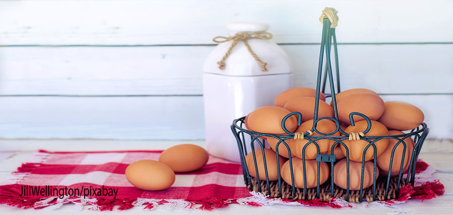 Πόσο ωφέλιμo είναι το αυγό; Πόσα αυγά κάνει να τρώμε; Αυξάνουν την χοληστερίνη; article cover image