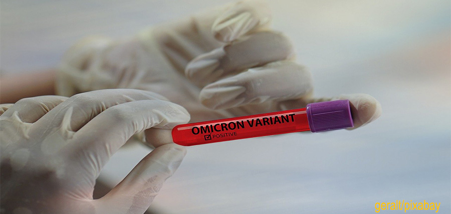 Η μετάλλαξη Omicron δείχνει να προκαλεί λιγότερη ζημιά στους πνεύμονες σύμφωνα με έρευνες cover image